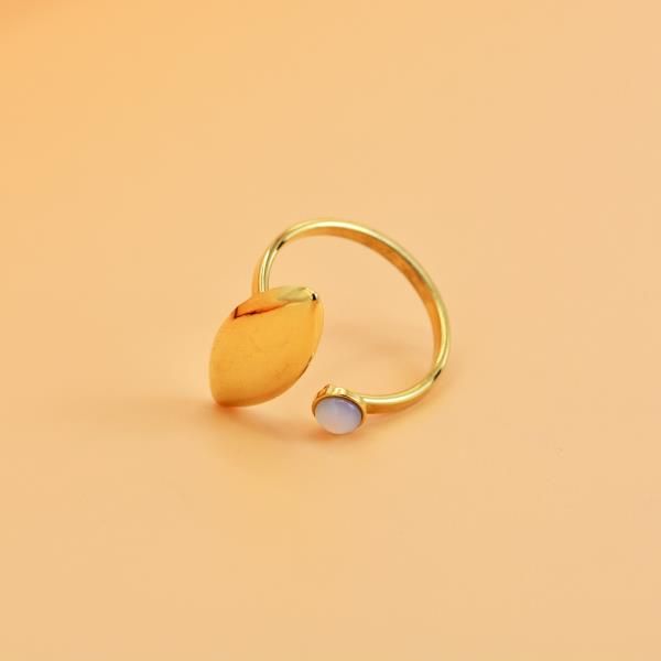 9251206153606748 bague f acier 45 – Image 1