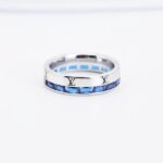 anneau 264 – Image 2